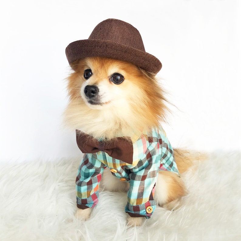 formal dog clothes