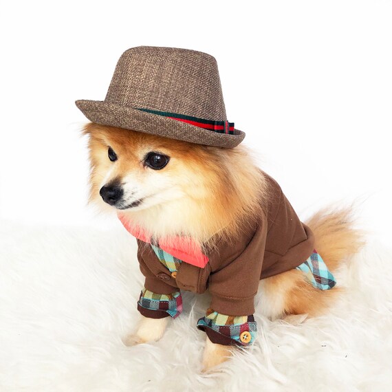 dog fedora hat