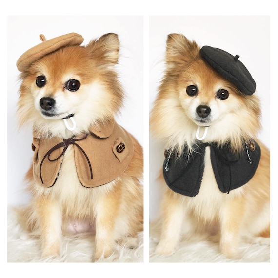 Dog beret clearance