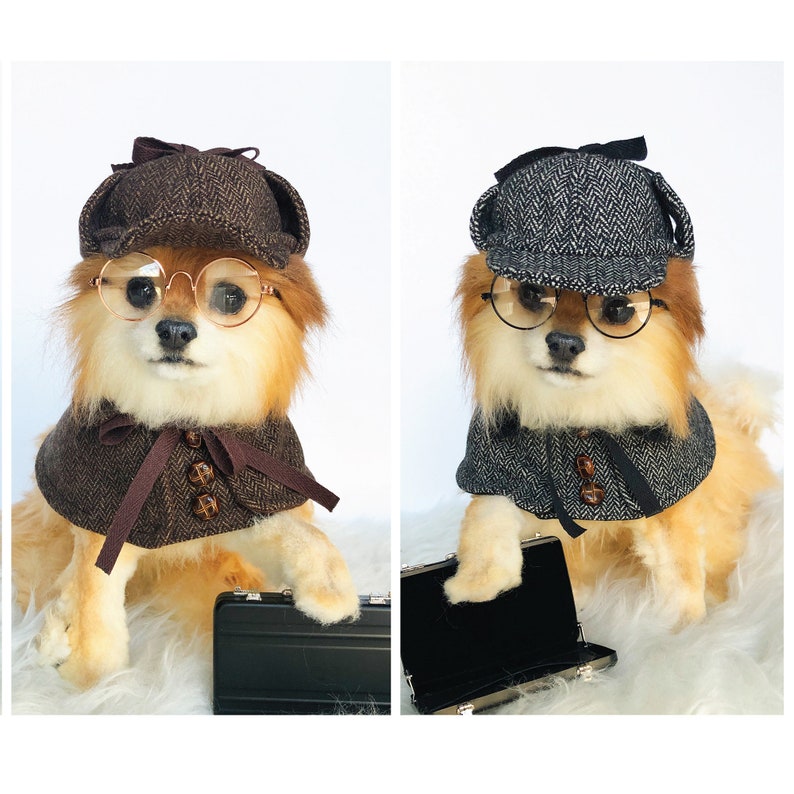 dog detective hat