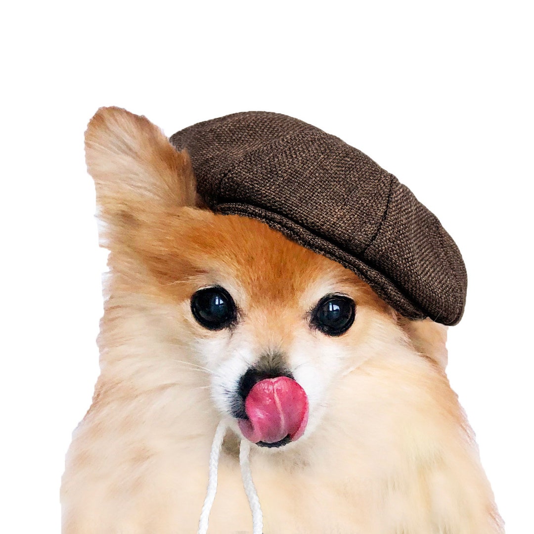 Dogs Newsboy Cap HANDMADE Dog Beret Hats, Dog Baker Boy Caps, Baseball Hat, Sweater Cap, Flat
