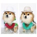 Hawaiian Fedora for DOGS, CATS! dog hats, dog caps, summer hat, cowboy hat, sun visor hat, sun hat, pet accessories, dog hoodies, dog outfit 
