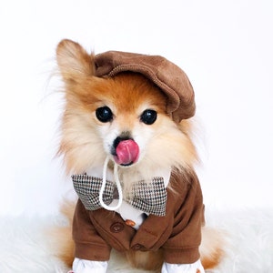 Dogs Newsboy Cap & bowtie! HANDMADE dog hats, dog caps, baseball hat, sweater cap, flat cap, pet accessories, dog hoodies, puppy plaid hats