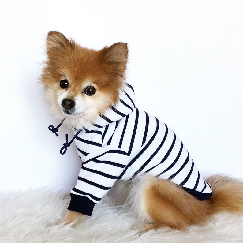 Navy Black Red striped Hoodie, Dog hoodie, Cute Dog clothes, Pet clothes, Fashion for dogs puppies, puppy tshirt, pup pullover, tops for dog image 3