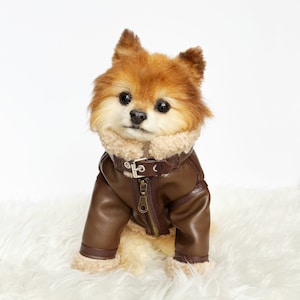 May include: A small brown dog wearing a brown faux leather jacket with a fur collar and a zipper closure. The dog is sitting on a white fluffy surface.
