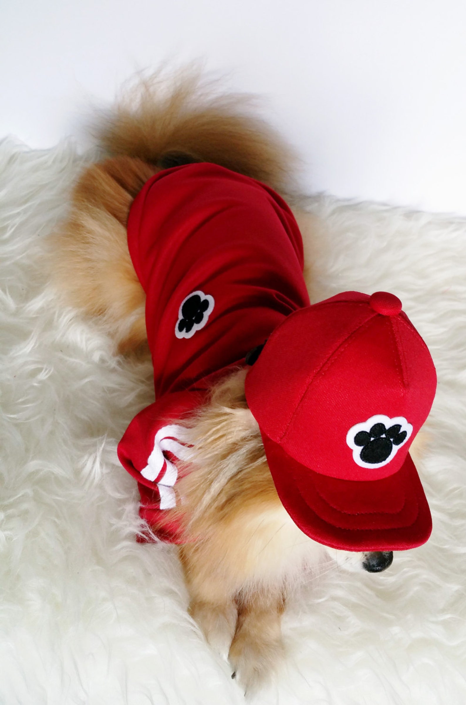Snapbacks for DOGS CATS HANDMADE Dog Hats Dog Caps Etsy Canada