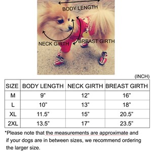 May include: Size chart for dog clothes, showing measurements in inches for neck, body length, and breast girth. Sizes include M, L, XL, and 2XL.