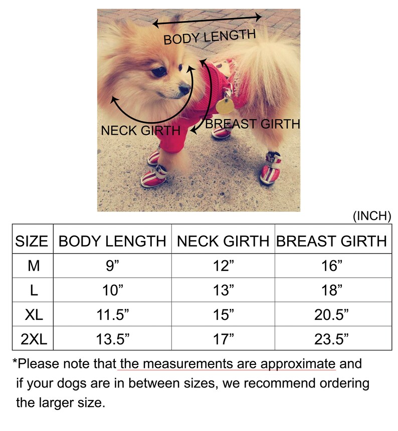 May include: Size chart for dog clothes, showing measurements in inches for neck, body length, and breast girth. Sizes include M, L, XL, and 2XL.