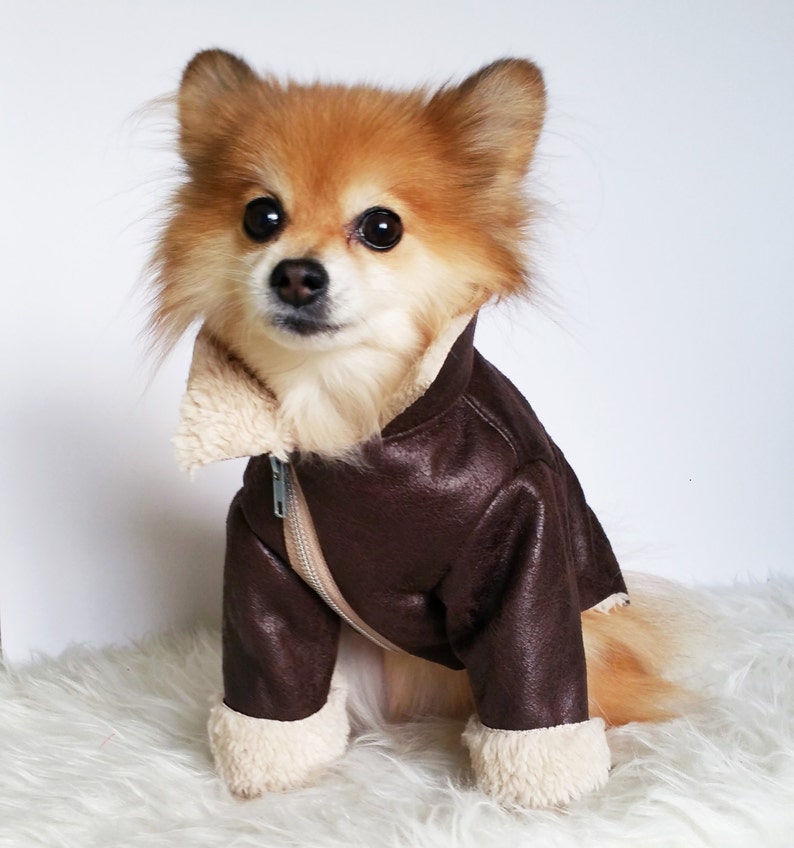 puppy jackets