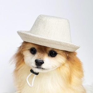 Fedora for DOGS, CATS! HANDMADE dog hats, dog caps, summer hat, cowboy hat, sun visor hat, sun hat, pet accessories, dog hoodies, dog outfit