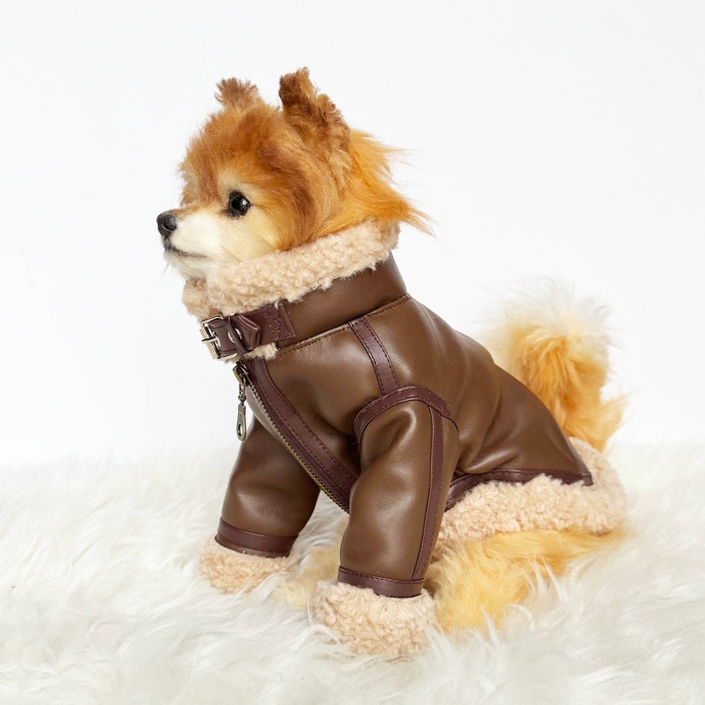 May include: A small brown faux leather jacket with a zipper and a fur collar for a dog. The jacket has a brown zipper and a brown buckle.