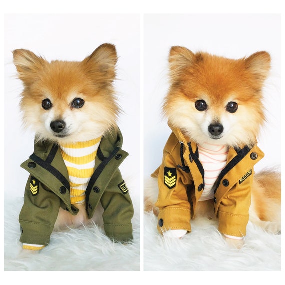 Chaquetas militares para perros abrigos militares ropa - España