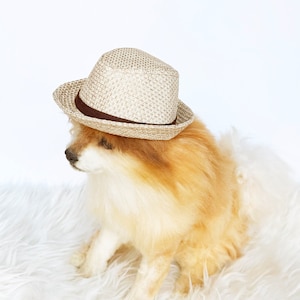 Straw Fedora for DOGS, CATS HANDMADE dog hats, tan dog caps, summer panama hat, cat cowboy hat, sun visor hat, pet accessories, dog hoodies image 6