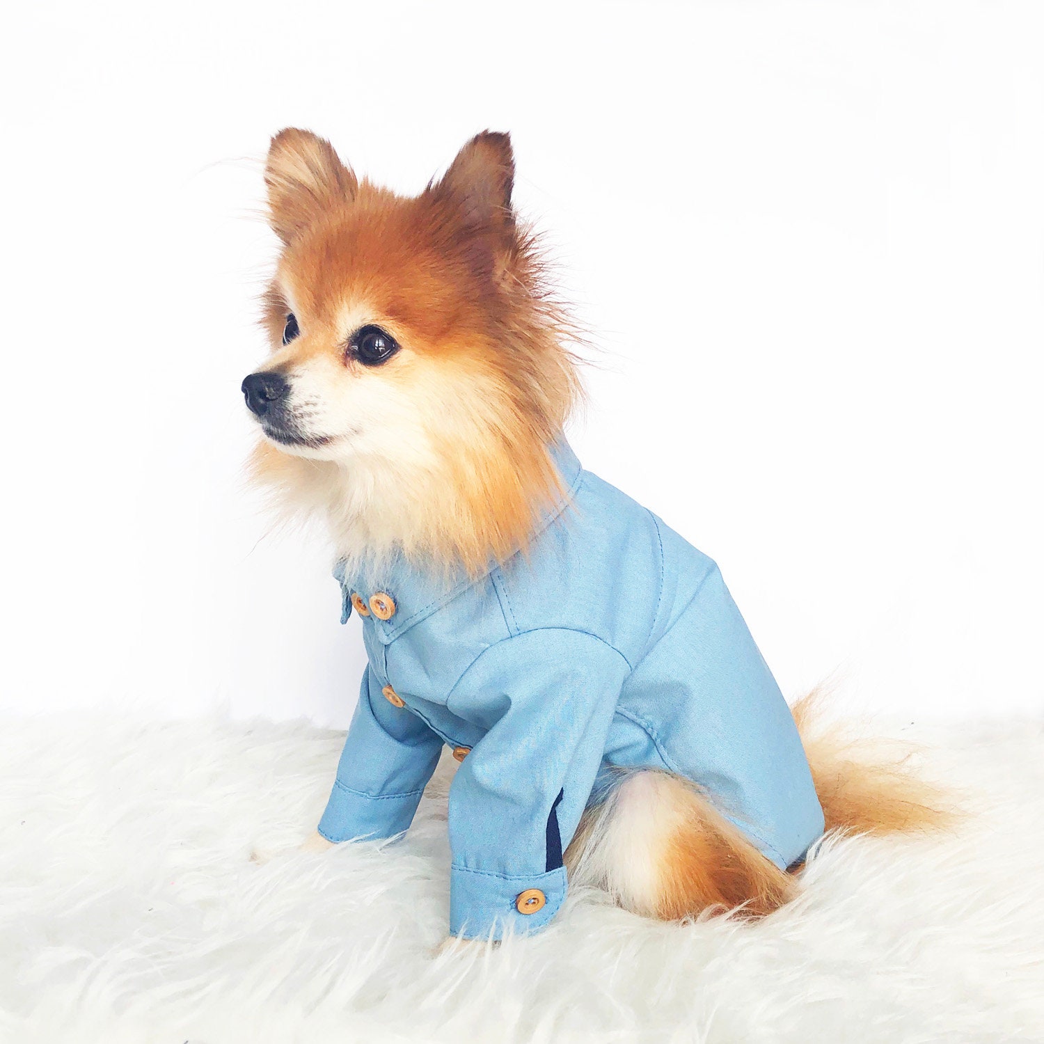 Dog Blue Gray Shirts denim shirts puppy dress shirt dog Etsy