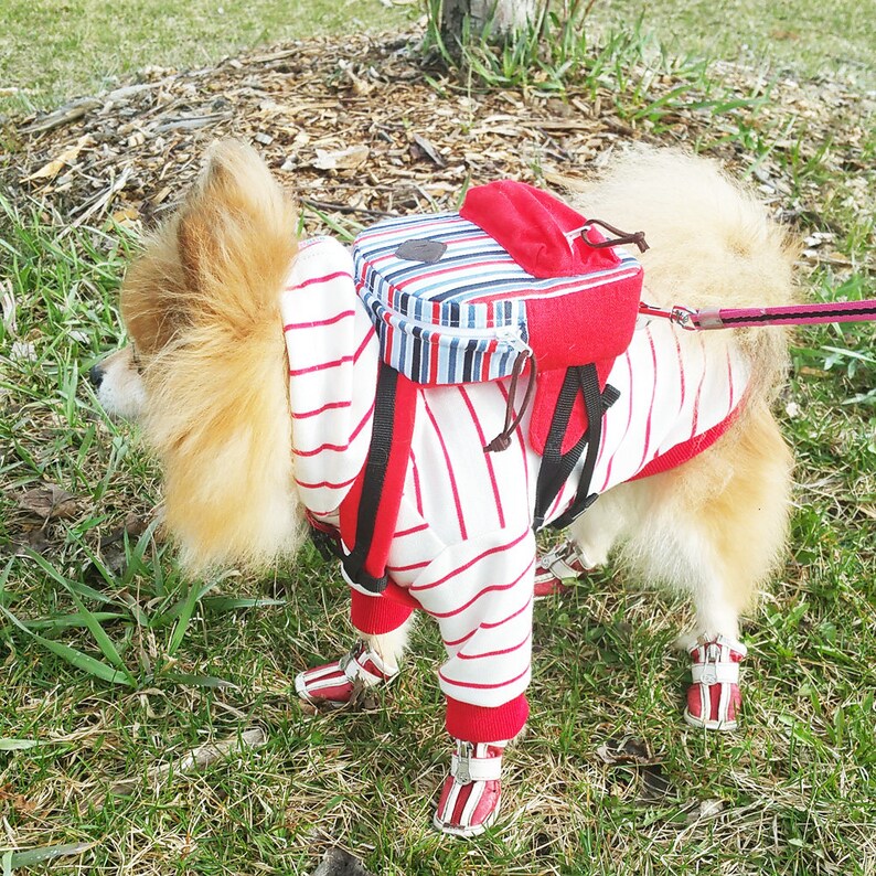 Dog backpack dogs harness vest puppy clothes small dog Etsy