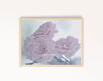 Pastel Roses print wall art * fotografía de naturaleza* bedroom wall print* floral print fine art photograph "Compassion"