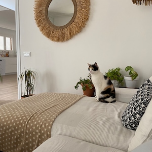 May include: A white and black cat sits on a bed with a tan and white striped blanket and a white and grey striped pillow. A large round mirror with a natural fibre frame hangs on the wall behind the bed.