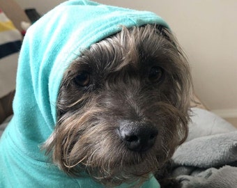 Bamboo Dog Hoodie Bali Blue - Blank Plain Pet Hoodie - Color Dog Sweatshirt - Warm Puppy Clothing - Soft Dog Clothes - Outdoor Dog Coat