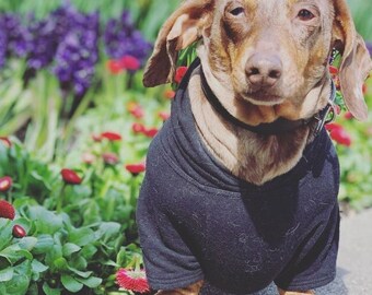 Sudadera con capucha de bambú para perro, color gris carbón / Sudadera con capucha lisa para mascotas / Sudadera con capucha para perro / Ropa para perros pequeños / Ropa suave y elástica para perros