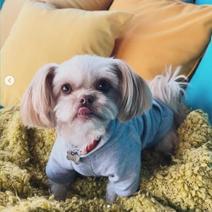 Bamboo Dog Hoodie, LIGHT GREY | Blank Plain Pet Hoodie | Hooded Dog Sweatshirt | Small Dog Clothing | Soft & Stretchy Dog Clothes
