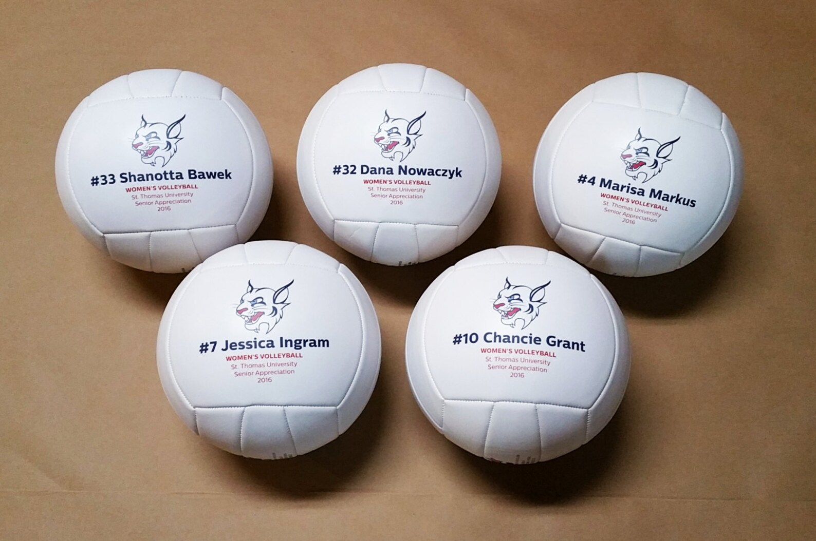 Personalized Volleyball with Logo/Photo and Personalized Text Etsy