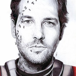 Scott Lang / Antman / Paul Rudd / Drukuj