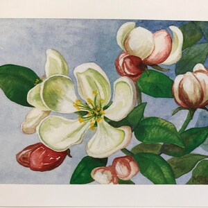 メアリー・ワトソン・ライリーの水彩画「桜」から作られたノートカード。