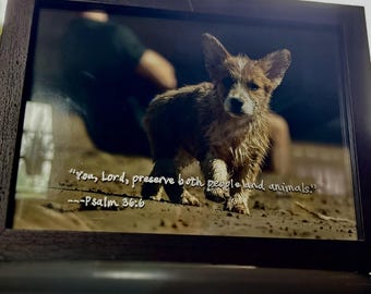 Marco de fotos de cristal para amantes de los animales