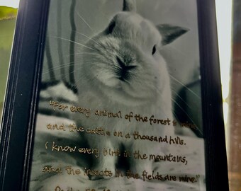 Marco de fotos de vidrio para amantes de las mascotas