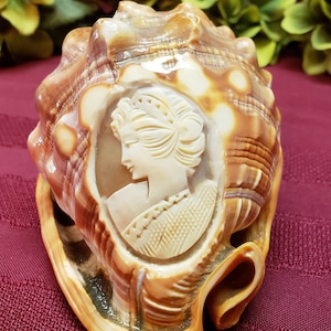 Hand Carved Cameo in Original Carnelian Shell, OOAK Artistic Display, Vintage Italian, Collectible Display, Home Decor, TV Movie Prop image 1