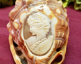 Hand Carved Cameo in Original Carnelian Shell, OOAK Artistic Display, Vintage Italian, Collectible Display, Home Decor, TV Movie Prop