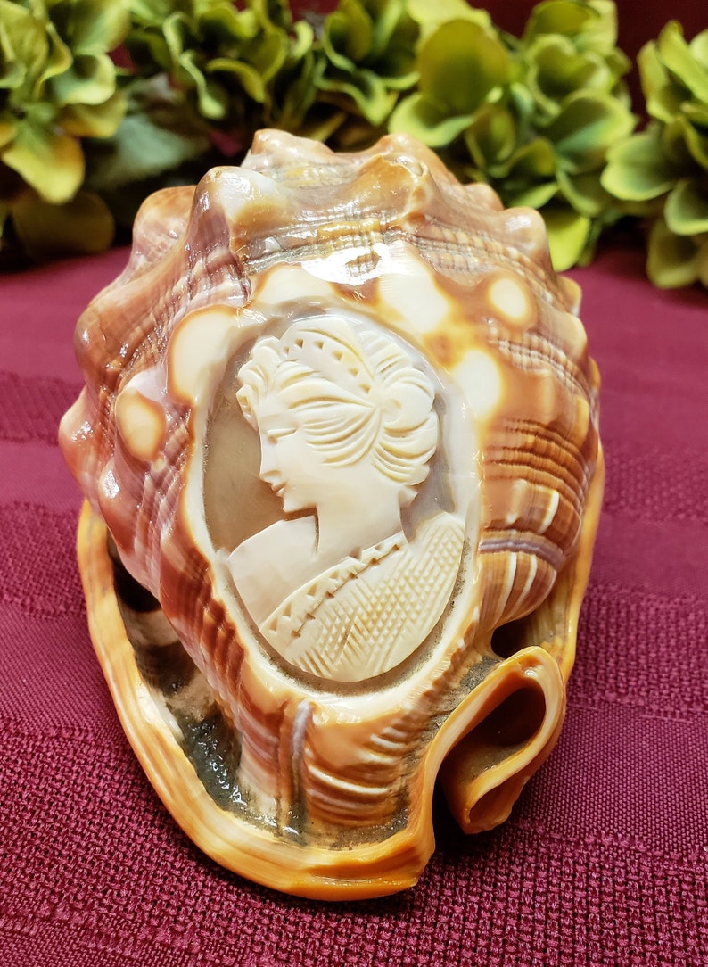 Hand Carved Cameo in Original Carnelian Shell, OOAK Artistic Display, Vintage Italian, Collectible Display, Home Decor, TV Movie Prop image 1