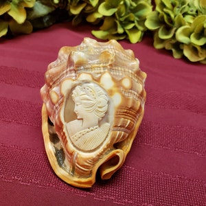 Hand Carved Cameo in Original Carnelian Shell, OOAK Artistic Display, Vintage Italian, Collectible Display, Home Decor, TV Movie Prop image 6