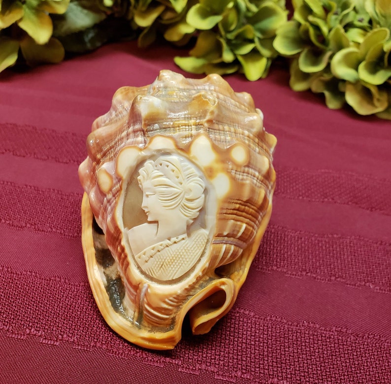 Hand Carved Cameo in Original Carnelian Shell, OOAK Artistic Display, Vintage Italian, Collectible Display, Home Decor, TV Movie Prop image 6