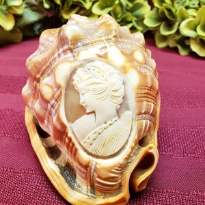 Hand Carved Cameo in Original Carnelian Shell, OOAK Artistic Display, Vintage Italian, Collectible Display, Home Decor, TV Movie Prop image 8