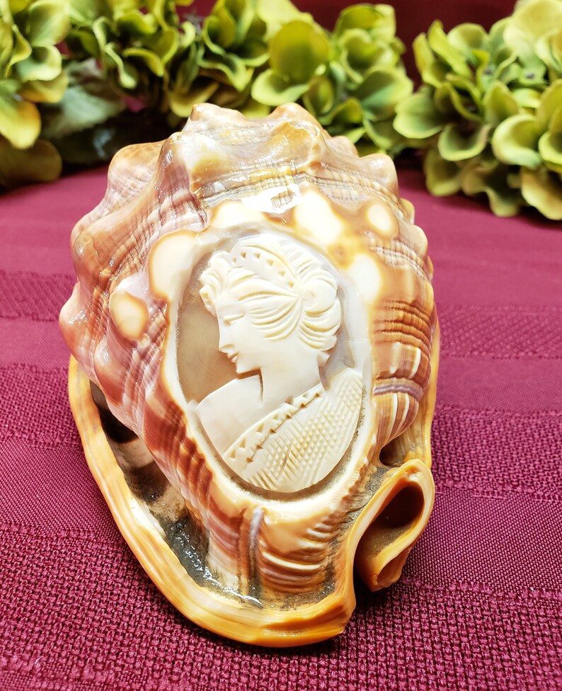 Hand Carved Cameo in Original Carnelian Shell, OOAK Artistic Display, Vintage Italian, Collectible Display, Home Decor, TV Movie Prop image 8