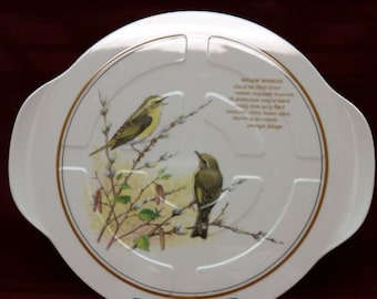 Willow Warbler Bird Plate: English Collector Decor (8.5")