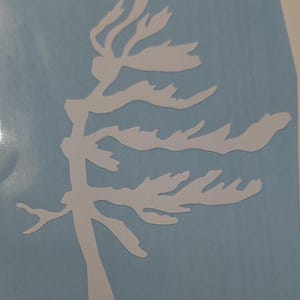Georgian Bay Windswept Tree Decal