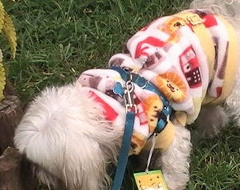 May include: A white dog wearing a yellow, red, and blue fleece sweater with a lion, giraffe, and other animal prints. The sweater has a blue leash attached to it.