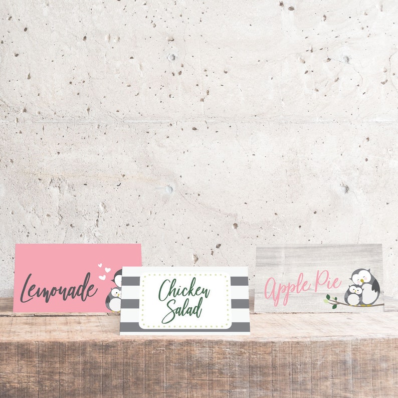 Owl Girl Baby Shower Food Tent Cards Template food Tent Card Etsy