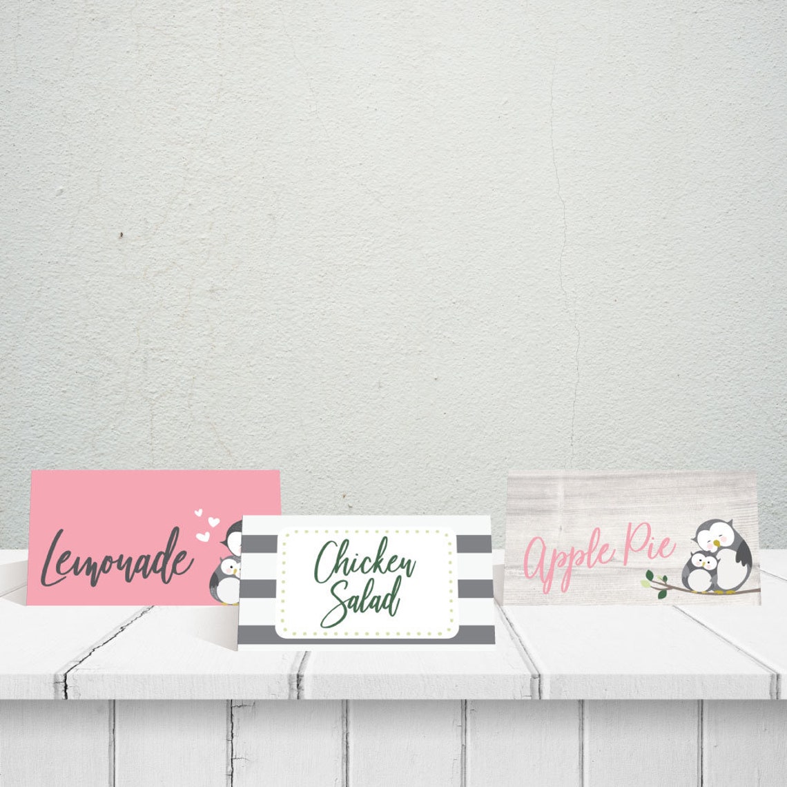 Owl Girl Baby Shower Food Tent Cards Template food Tent Card Etsy