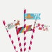 Fiesta Kids Party Straw Flags Template Printable Straw Flag, Paper ...
