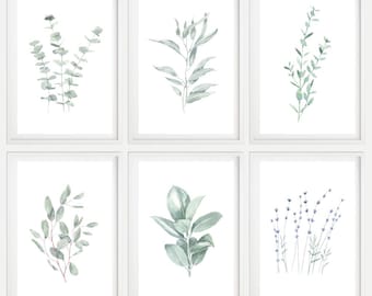 Botanical Print Set of 6, Printable Modern Wall Art, Watercolor Plant Painting, Eucalyptus Flower Poster, Leaf Nature Digital Download Decor