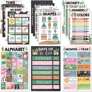 16 carteles educativos de cactus para niños pequeños: carteles de aprendizaje para preescolar de 1 a 3 años, útiles escolares para jardín de infantes y guardería, alfabeto...