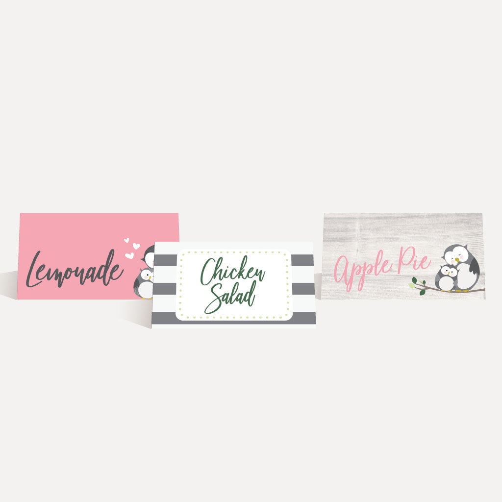 Owl Girl Baby Shower Food Tent Cards Template food Tent Card Etsy