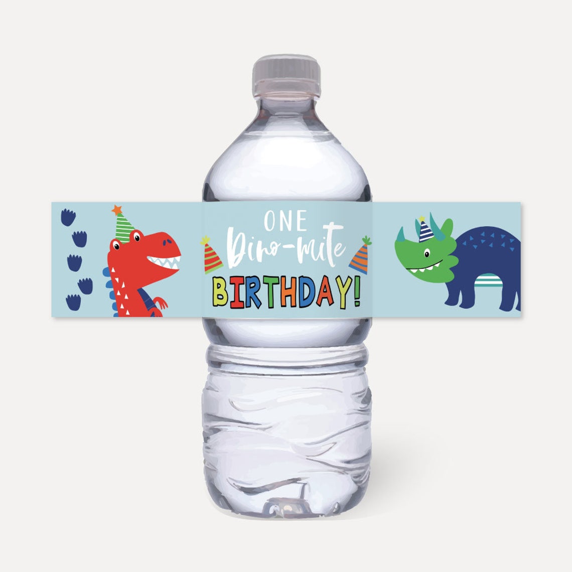 Dinosaur Kids Party Bottle Label Template Dino Water Bottle Etsy