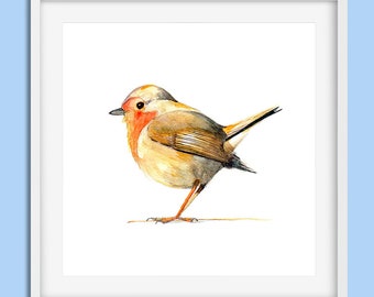 bird watercolor etsy
