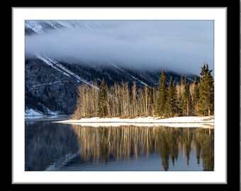 Birch Tree Reflections on a Lake, Photograph; Kluane, Yukon, Canada (Fine art photo, various sizes incl. 8x10, 11x14 & small/large prints)