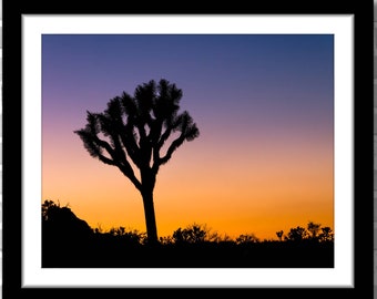 Sunset in Joshua Tree, Photograph; Joshua Tree, California, USA (Fine art photo, various sizes including 8x10, 11x14 & small/large prints)