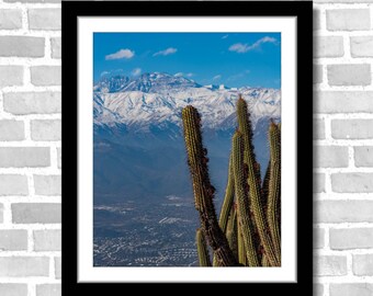 Cactus in the Mountains, Photography; Santiago, Chile (Fine art photos of various sizes including 8x10, 11x14 & small/large/XL prints)